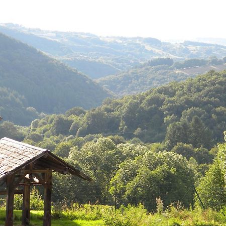Domaine Du Randier Villa Ferrières-sur-Sichon Eksteriør bilde