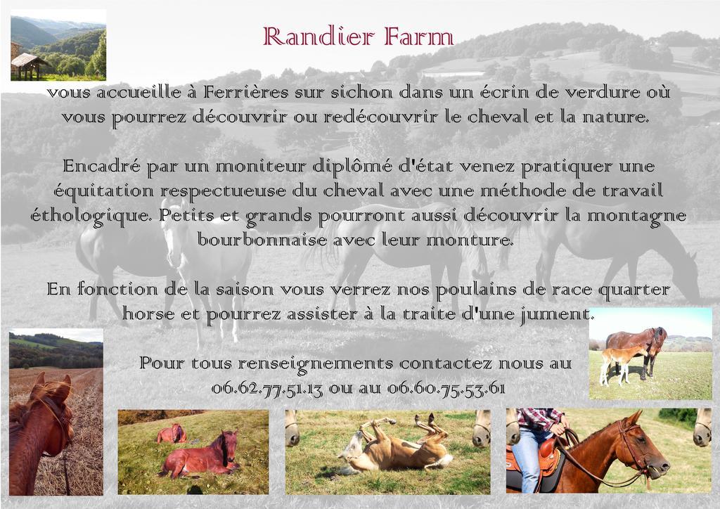 Domaine Du Randier Villa Ferrières-sur-Sichon Eksteriør bilde